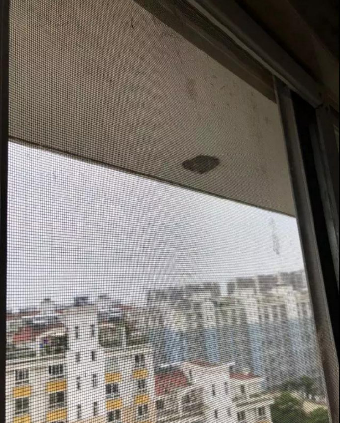 南京江水平装修，纱窗脏成“烟囱”，只能拆下来洗吗？
